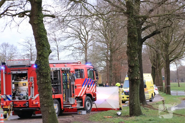 Bestuurder omgekomen na frontale botsing tegen boom