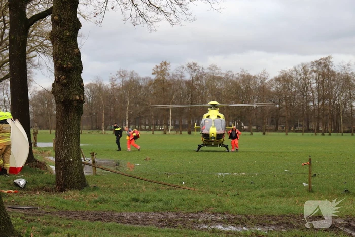 Bestuurder omgekomen na frontale botsing tegen boom