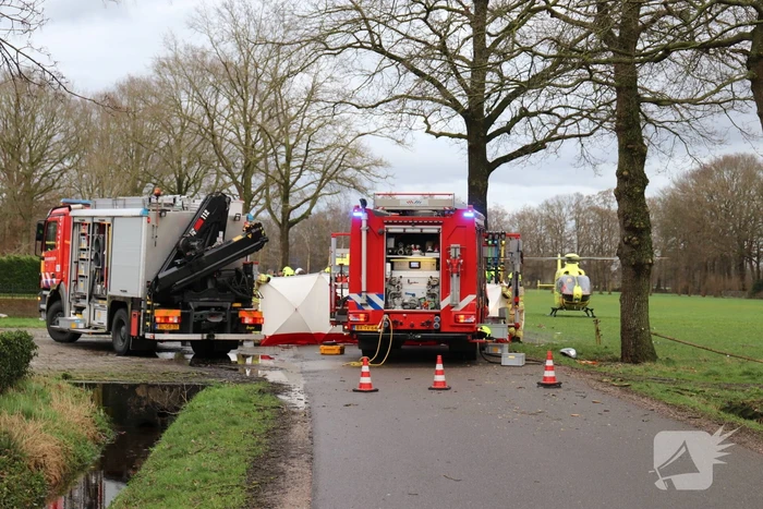 Bestuurder omgekomen na frontale botsing tegen boom