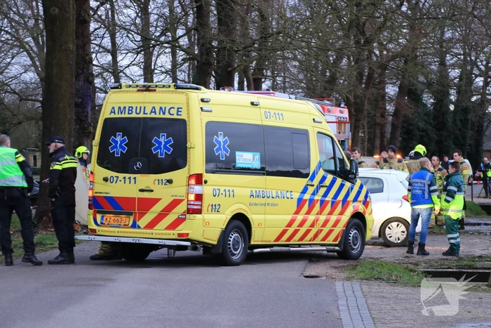 Bestuurder omgekomen na frontale botsing tegen boom