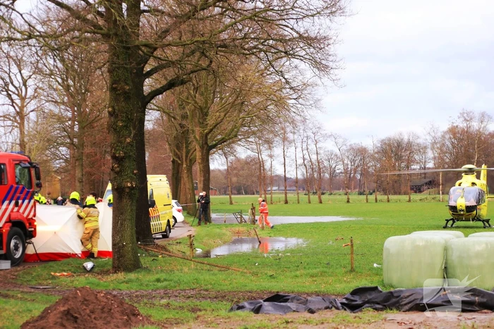 Bestuurder omgekomen na frontale botsing tegen boom