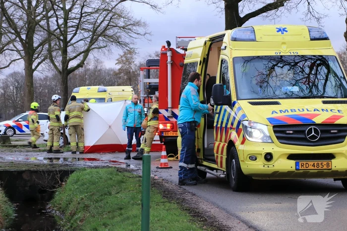 Bestuurder omgekomen na frontale botsing tegen boom
