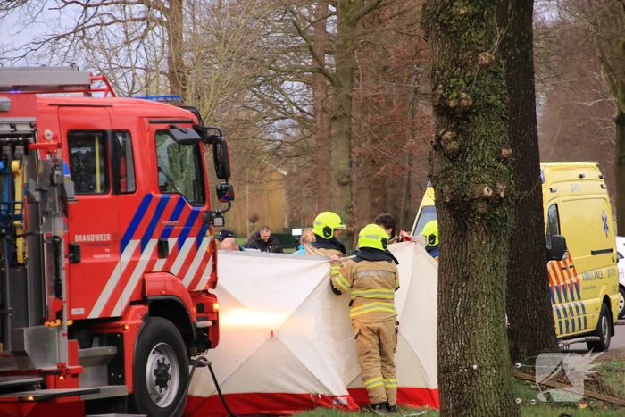 Bestuurder omgekomen na frontale botsing tegen boom