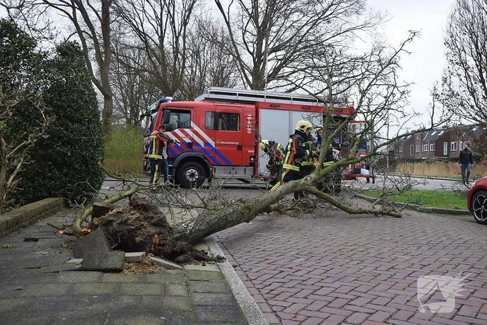 nieuws gallaslaan leiderdorp