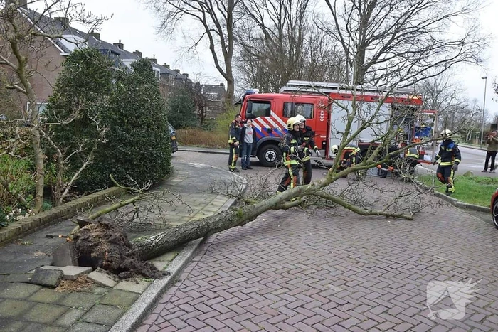 Omgewaaide boom verspert doorgaande weg