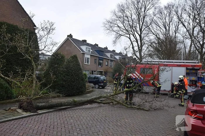 Omgewaaide boom verspert doorgaande weg