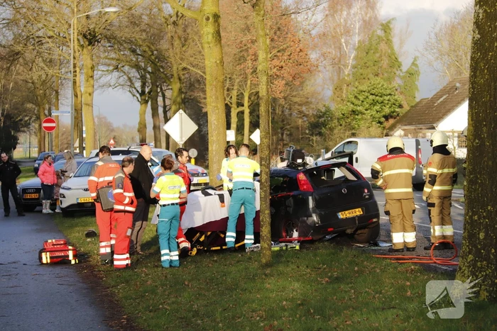 Twee gewonden na frontale botsing tegen boom