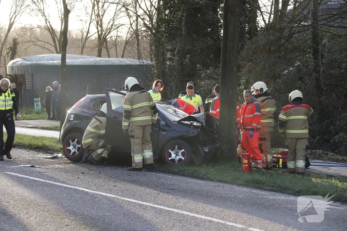 Twee gewonden na frontale botsing tegen boom