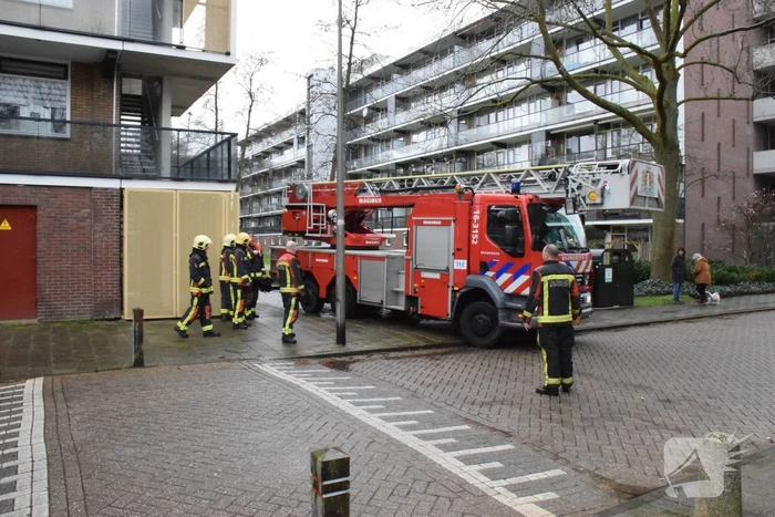 Brand in flatwoning