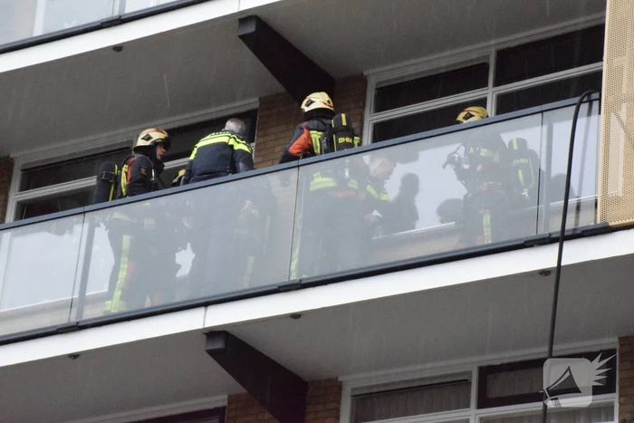 Brand in flatwoning