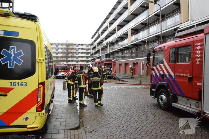Brand in flatwoning