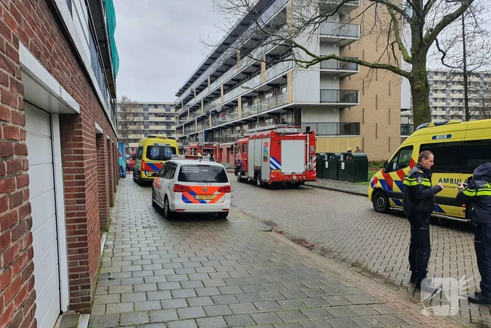 Brand in flatwoning