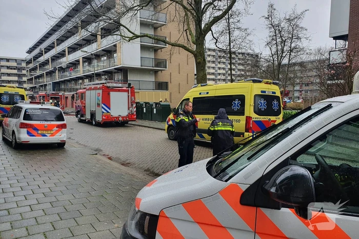 Brand in flatwoning