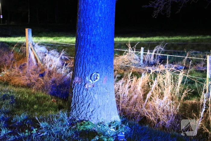 Motorrijder zwaargewond na botsing op bomen