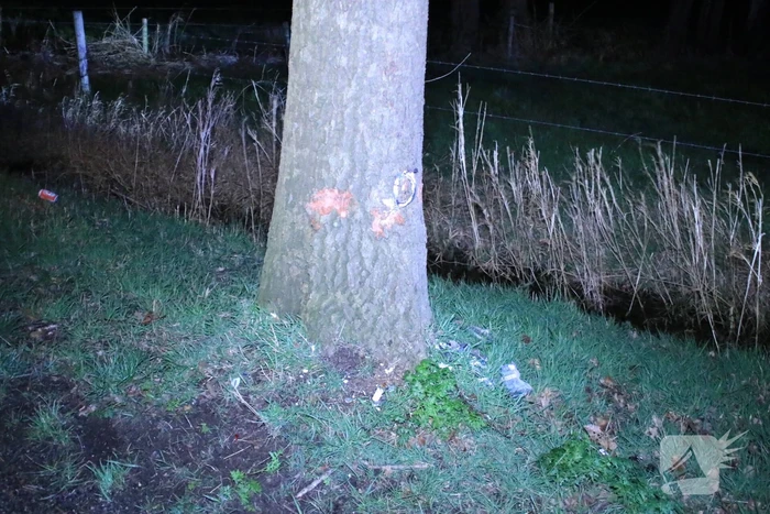Motorrijder zwaargewond na botsing op bomen