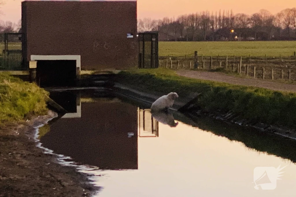 Boekelseweg Nieuws Erp 