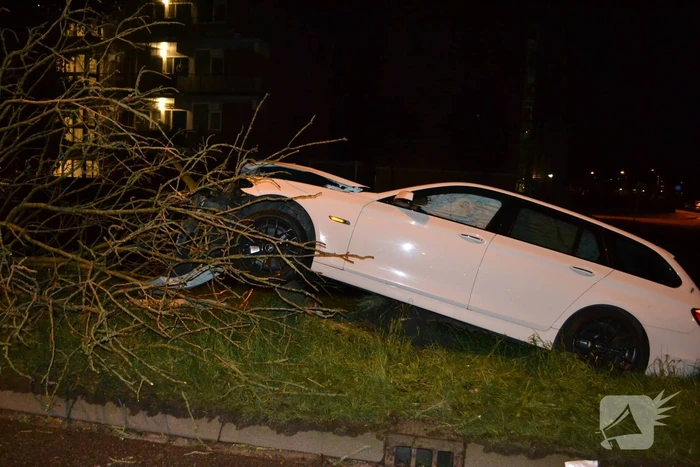 Auto rijdt tegen boom en raakt zwaarbeschadigd