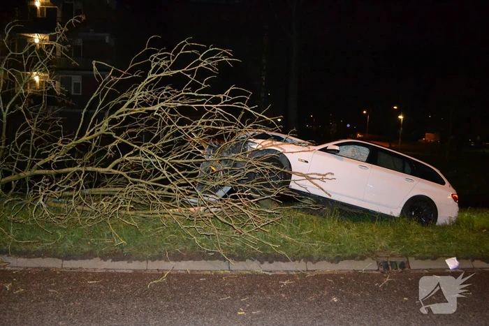 Auto rijdt tegen boom en raakt zwaarbeschadigd