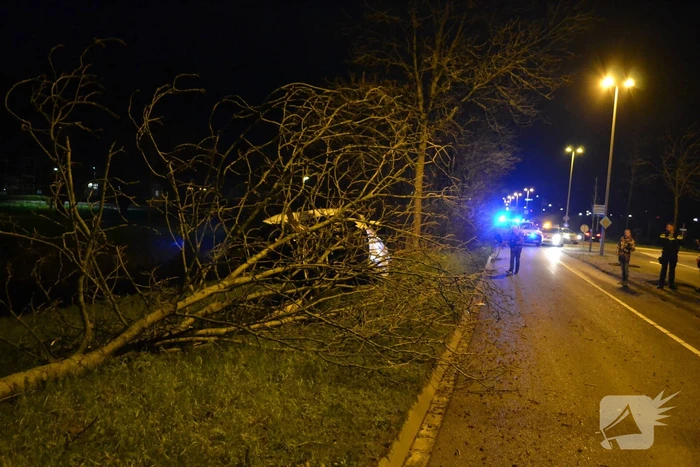 Auto rijdt tegen boom en raakt zwaarbeschadigd