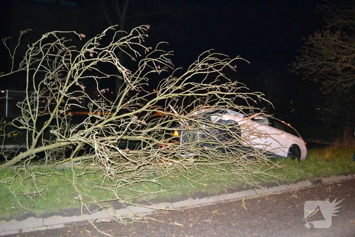 Auto rijdt tegen boom en raakt zwaarbeschadigd
