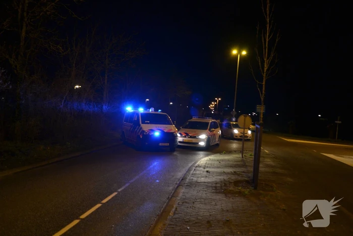 Auto rijdt tegen boom en raakt zwaarbeschadigd