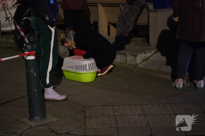 Drie gewonden na uitslaande brand in kraakpand