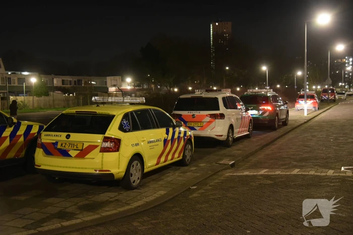 waterlekkage lavasweg hoogvliet rotterdam