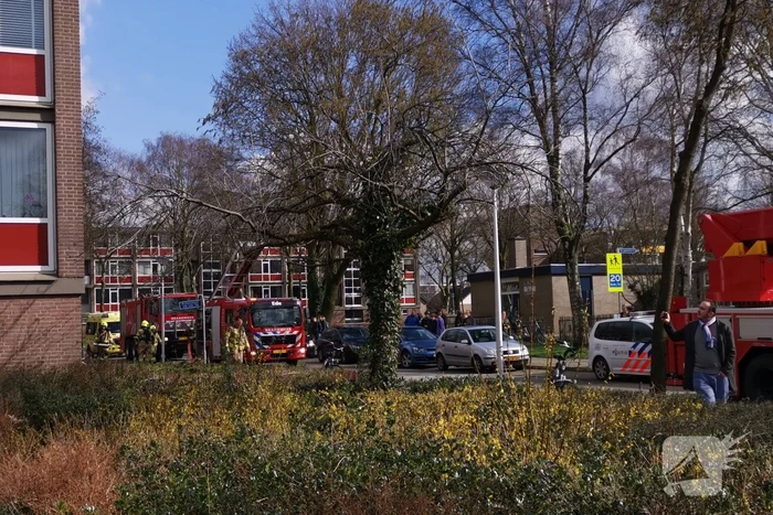 brand pollenstein ede