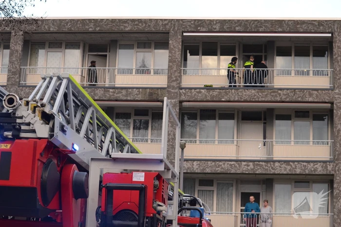 steekincident cliostraat rotterdam