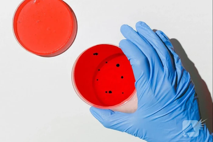 Man (86) in ziekenhuis overleden aan coronavirus