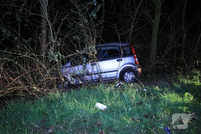 Automobilist vliegt uit de bocht en belandt in de bosjes