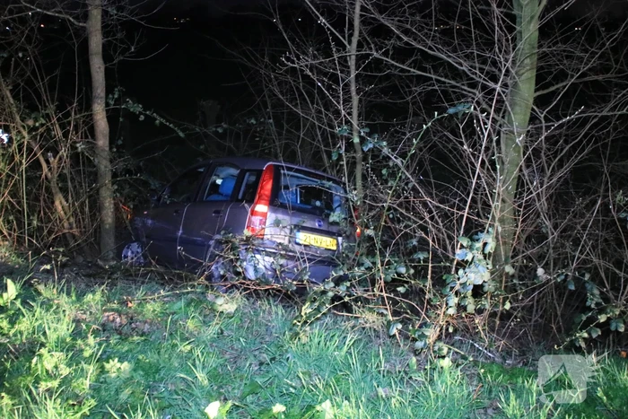 Automobilist vliegt uit de bocht en belandt in de bosjes
