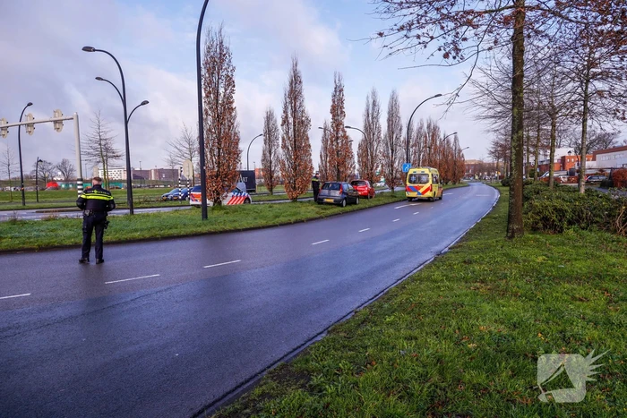 Auto raakt van de weg en botst op boom