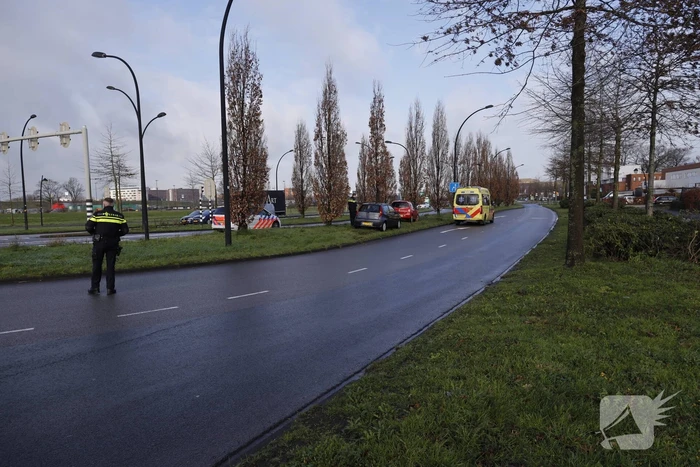 Auto raakt van de weg en botst op boom