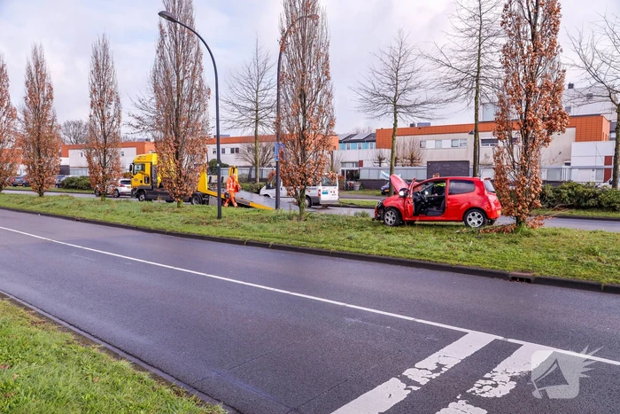 Auto raakt van de weg en botst op boom