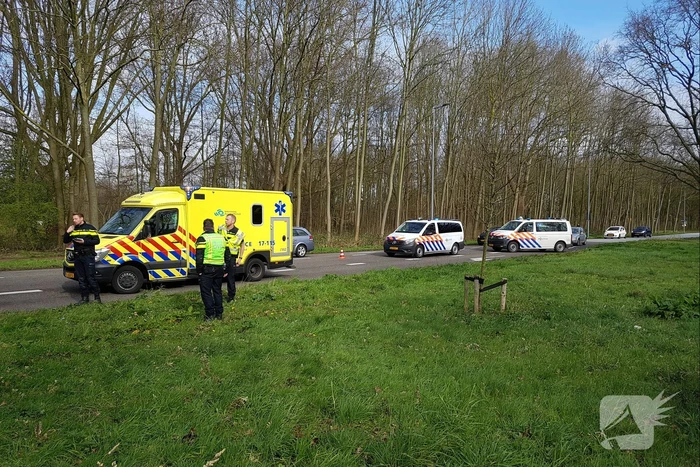 Bestelbus raakt van de weg en belandt tegen een boom