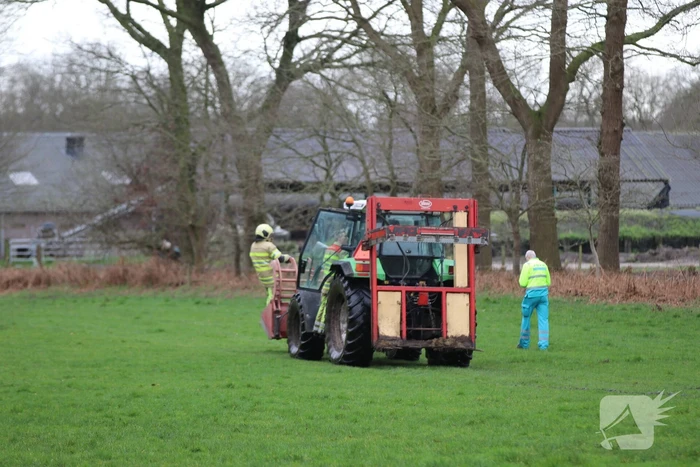 Grote inzet hulpdienst voor gewonde man in bosgebied