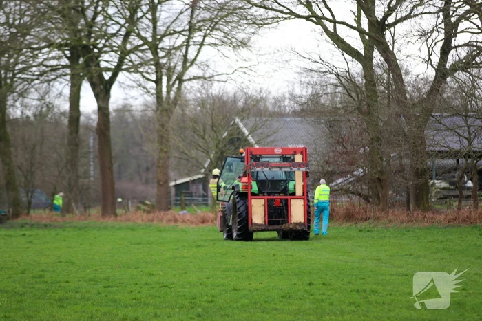Grote inzet hulpdienst voor gewonde man in bosgebied