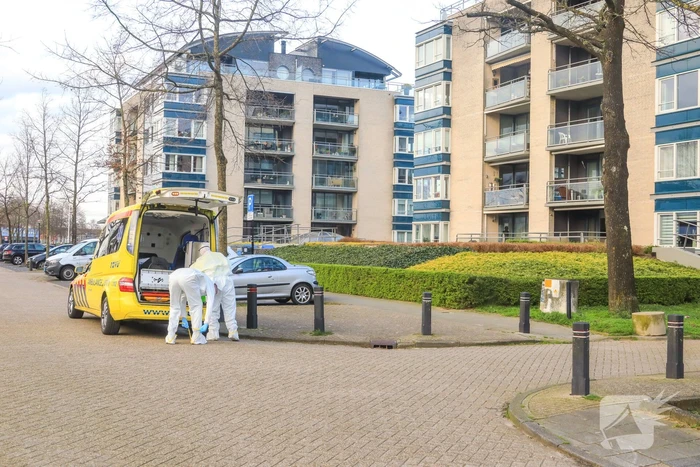 Mannen in witte pakken halen vermoedelijke coronapatiënt uit huis