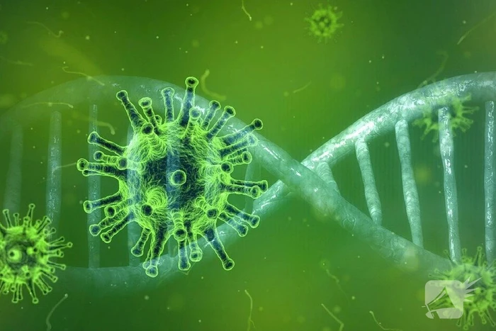 Coronavirus: 19 patiënten overleden, 292 nieuwe patiënten