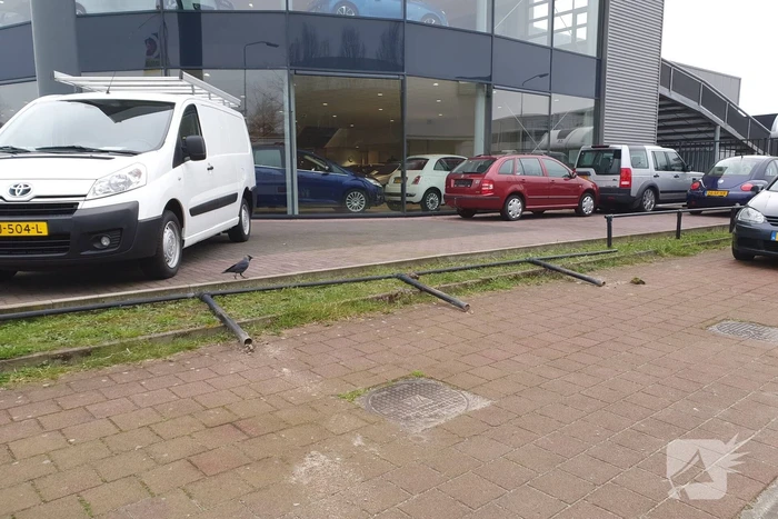 Mercedes Sprinter gestolen bij Autobedrijf Auto Nol