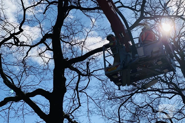 Kat kiest hazenpad na reddingsactie brandweer