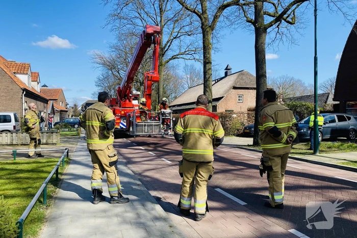 Kat kiest hazenpad na reddingsactie brandweer