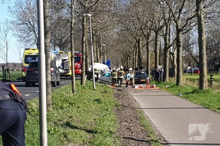 Bestelbus crasht frontaal tegen boom