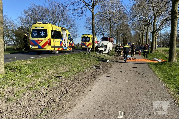 Bestelbus crasht frontaal tegen boom