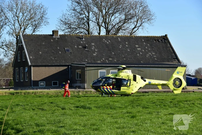 Bestelbus crasht frontaal tegen boom
