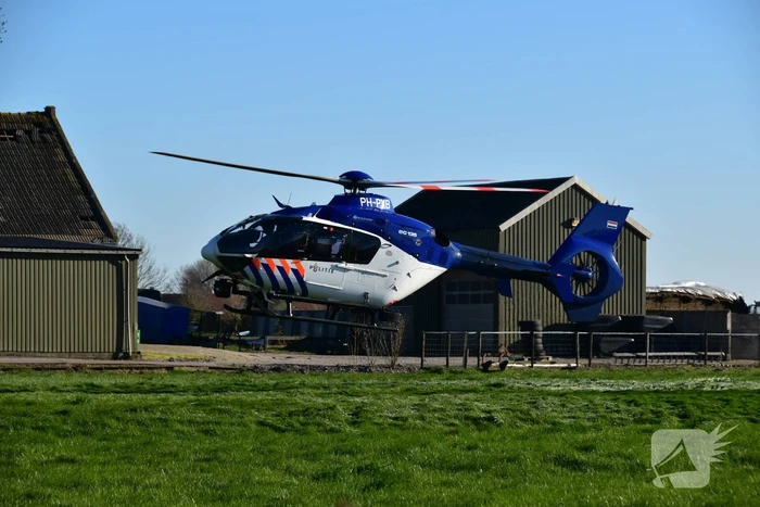Bestelbus crasht frontaal tegen boom