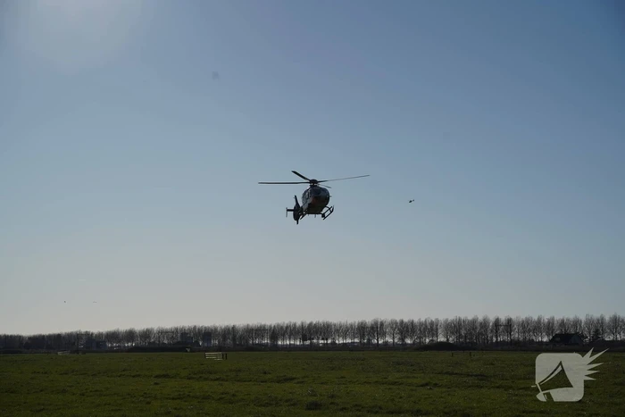 Bestelbus crasht frontaal tegen boom