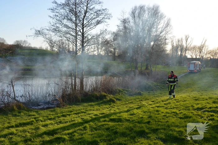 Bosschage in park in brand