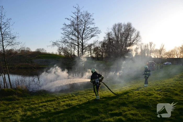 Bosschage in park in brand